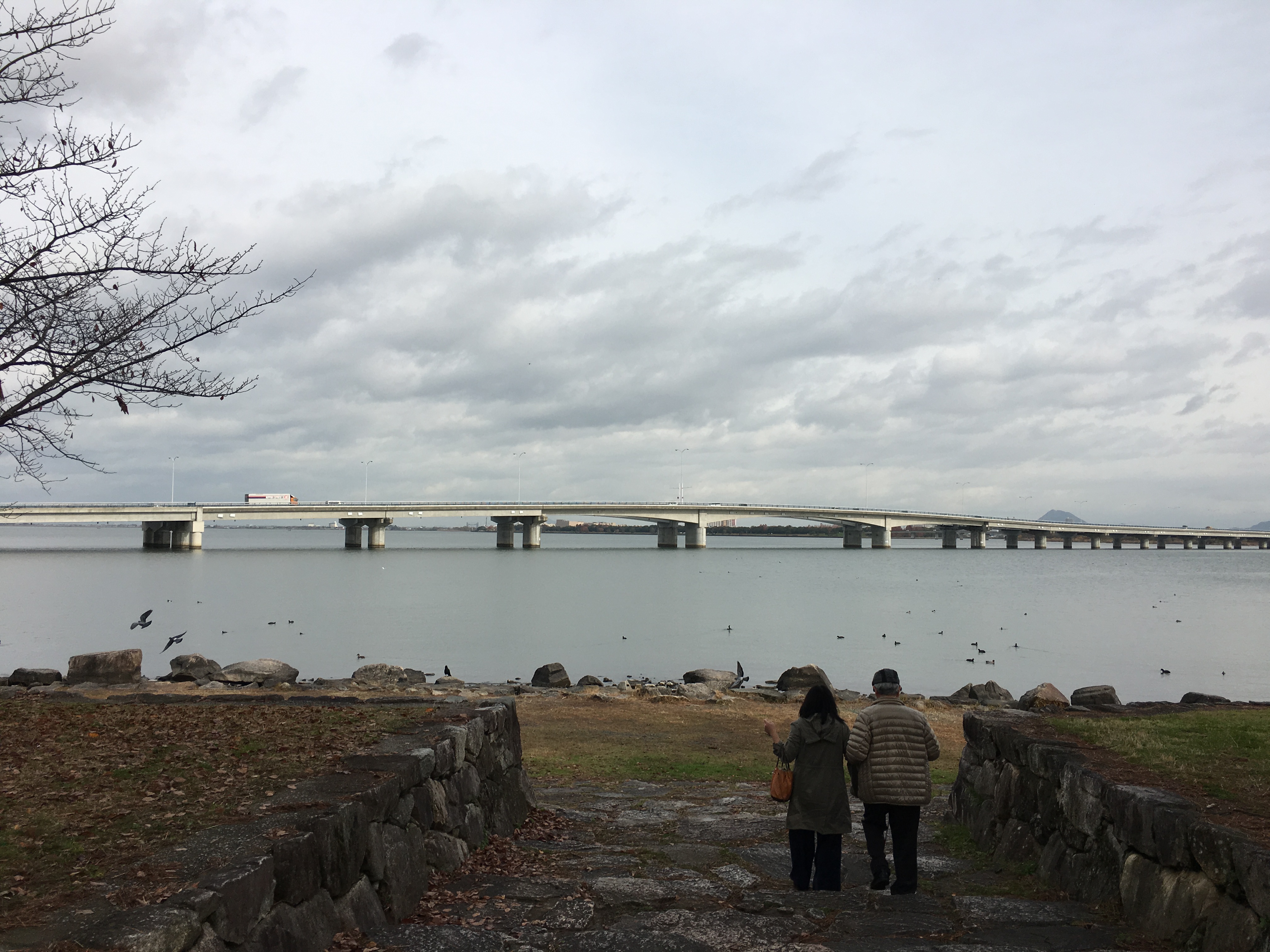 琵琶湖の風景写真